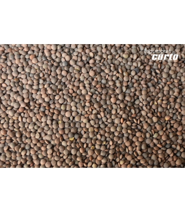 LENTEJA PARDINA SACO RAFIA 25 KG "CURTO"