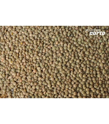LENTEJA VERDINA SACO RAFIA 25 KG "CURTO"