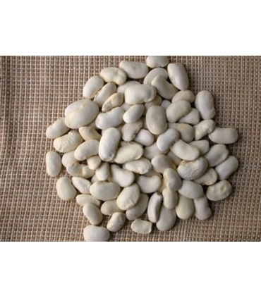 JUDION EXTRA BOLSA PLASTICO 1 KG. "CURTO"