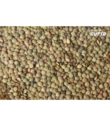 LENTEJA SALAMANCA BOLSA PLAST. 500G "CURTO"