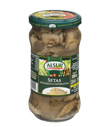 SETAS DE CARDO TARRO 314 "ALSUR"