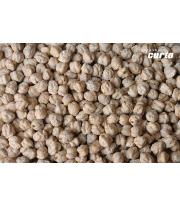 GARBANZO LECHOSO EXT. SACO RAFIA 25 KG "CURTO"