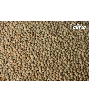 LENTEJA VERDINA SACO RAFIA 15 KG. "CURTO"