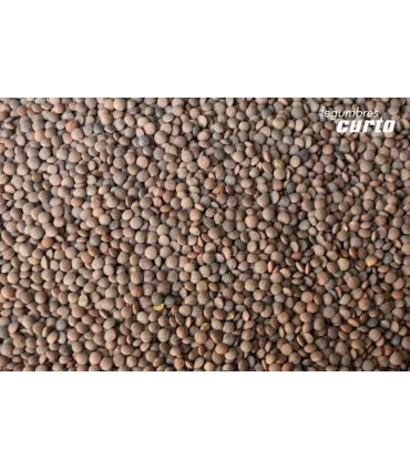 LENTEJA PARDINA SACO RAFIA 10 KG "CURTO"